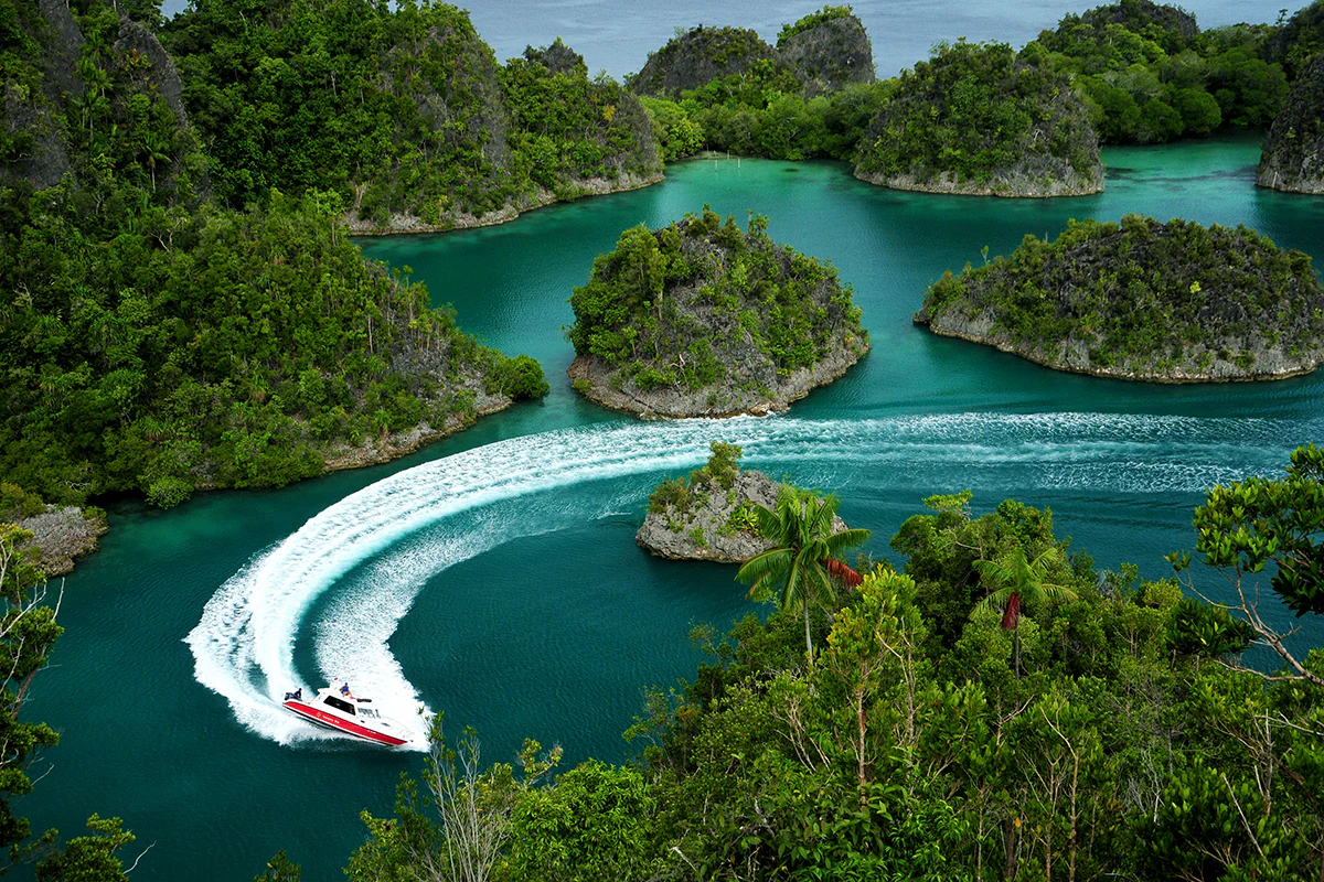 Raja Ampat Island Diving into the Coolest Underwater Spot!